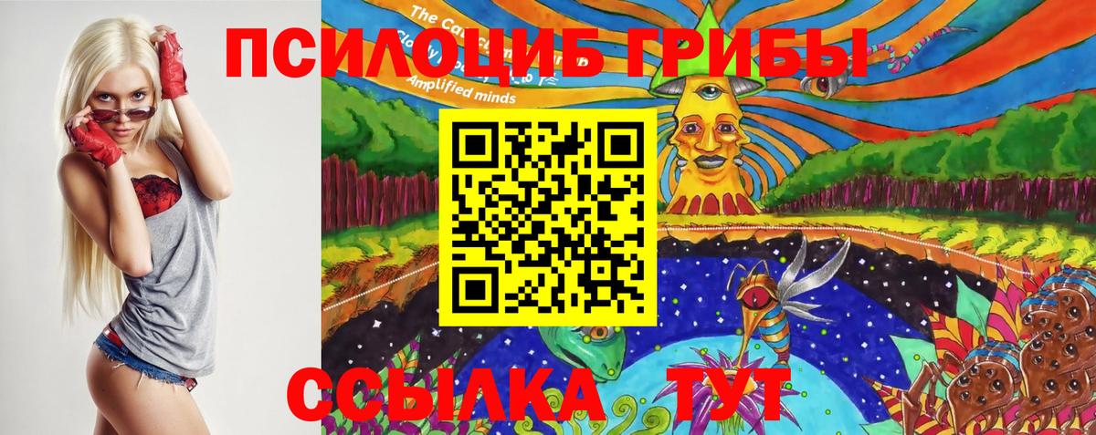 Галлюциногенные грибы ЛСД Новый Уренгой
