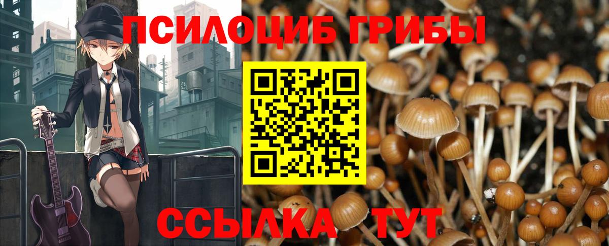 Галлюциногенные грибы Cubensis  Псилоцибиновые грибы Psilocybe  Вход с VPN  Новый Уренгой 